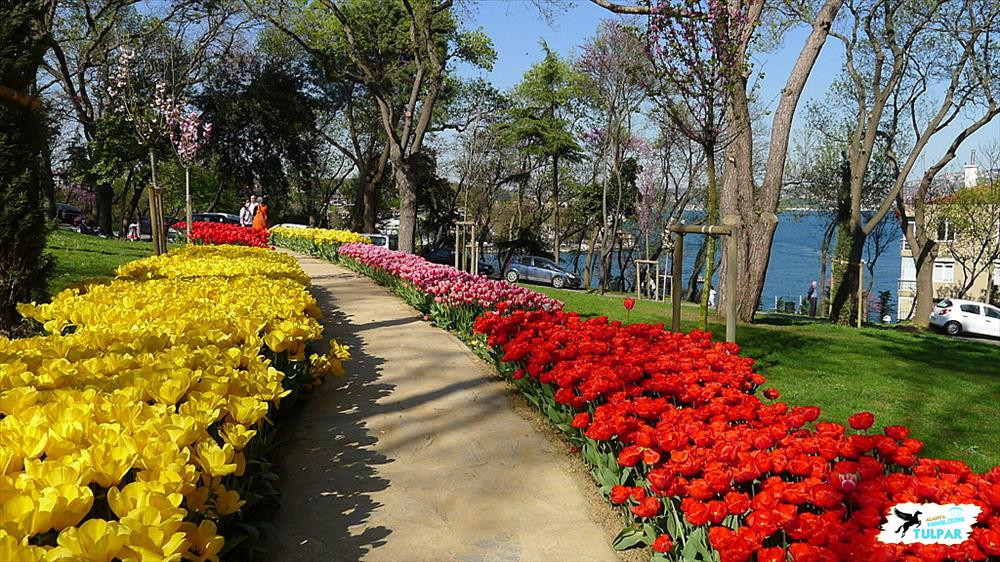 Парк Эмирган в Стамбуле